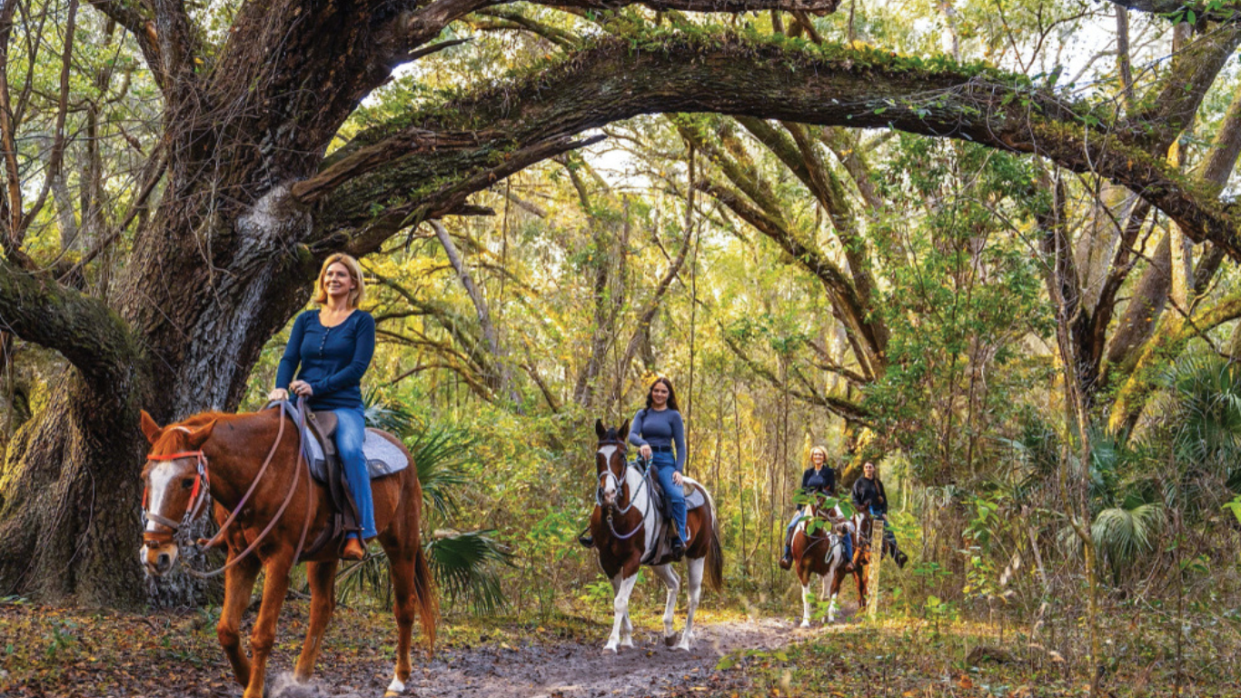 Why Are People Moving Out of Ocala, FL? (And Why Many Are Moving In)